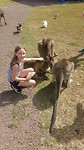 IMG_20170726_105108512