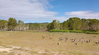 IMG_20170726_105355957