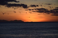 DSC_0023