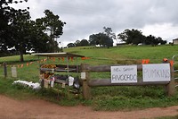 DSC_0067