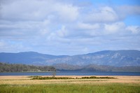 DSC_0049