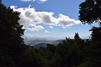 DSC_0060