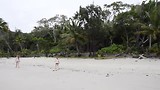 Cape Tribulation - Coconut Beach - 3