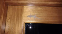 IMG_20170805_204704343
