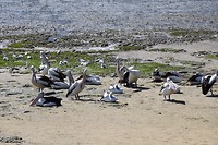 DSC_0048