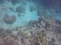 G0120359