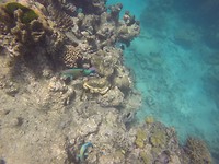 GOPR0235