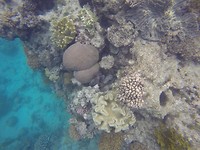 GOPR0482