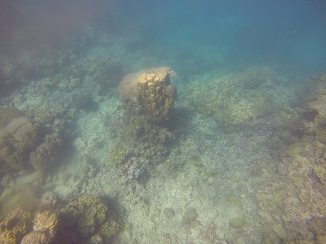 GOPR0509