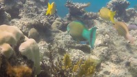 GOPR0584