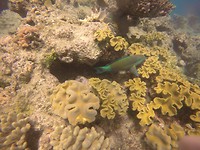 GOPR0592