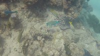 GOPR05691