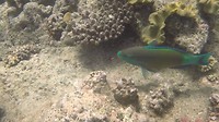 GOPR05711
