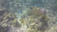 GOPR05713
