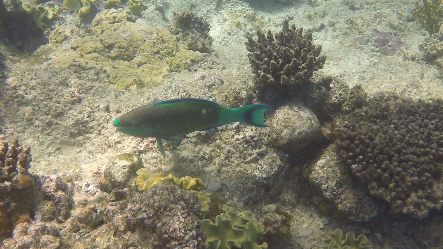 GOPR05714