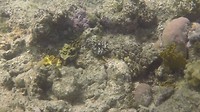 GOPR05721