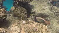 GOPR05723