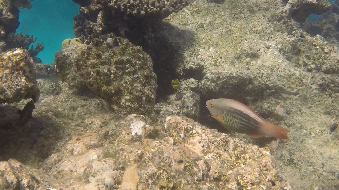 GOPR05723
