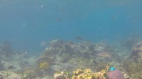 GOPR05803