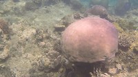 GOPR05961