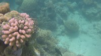 GOPR05972
