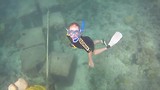 Great Barrier ... - Breaking Patches Reef Puck in actie