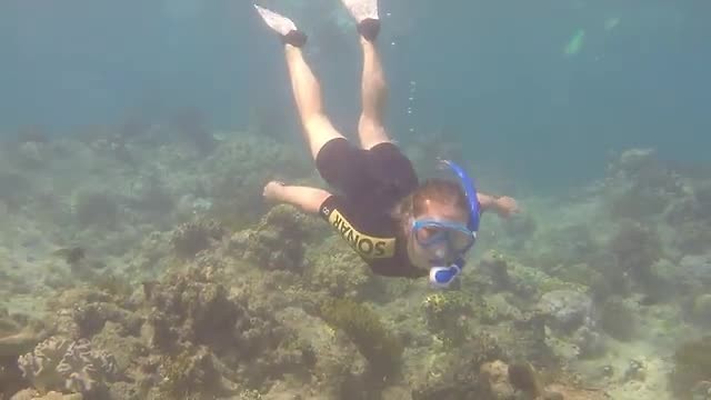 Great Barrier ... - Hastings Reef Puck in actie