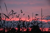 Zonsondergang op de Gulpener berg