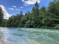 Sava rivier