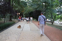 Wandelen in het Grote Park