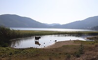 Abant lake