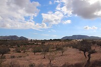 Wandeling vanaf de Finca