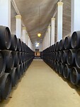 Bodega Sandeman