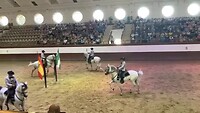 Spaanse rijschool in Jerez
