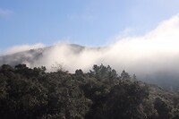 Mist bij de camping