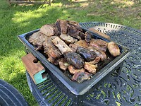Inclusief Asado (Argentijnse barbecue)