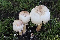 De herfst komt er aan