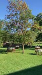 Estancia el Ombú, ‘s ochtends voor het ontbijt