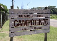Bodega Campotinto: wijnhuis, restaurant en kleinschalig hotel