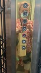 De lift in ons hotel
