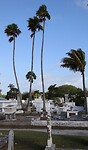 Op de begraafplaats van Key West is het ook rustig