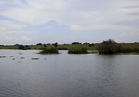 Bij Okeechobee Lake