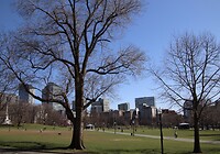 Boston Common Park