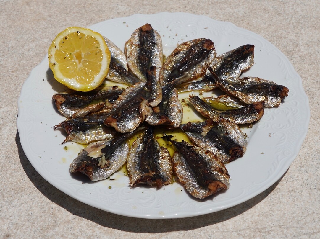 Sardines