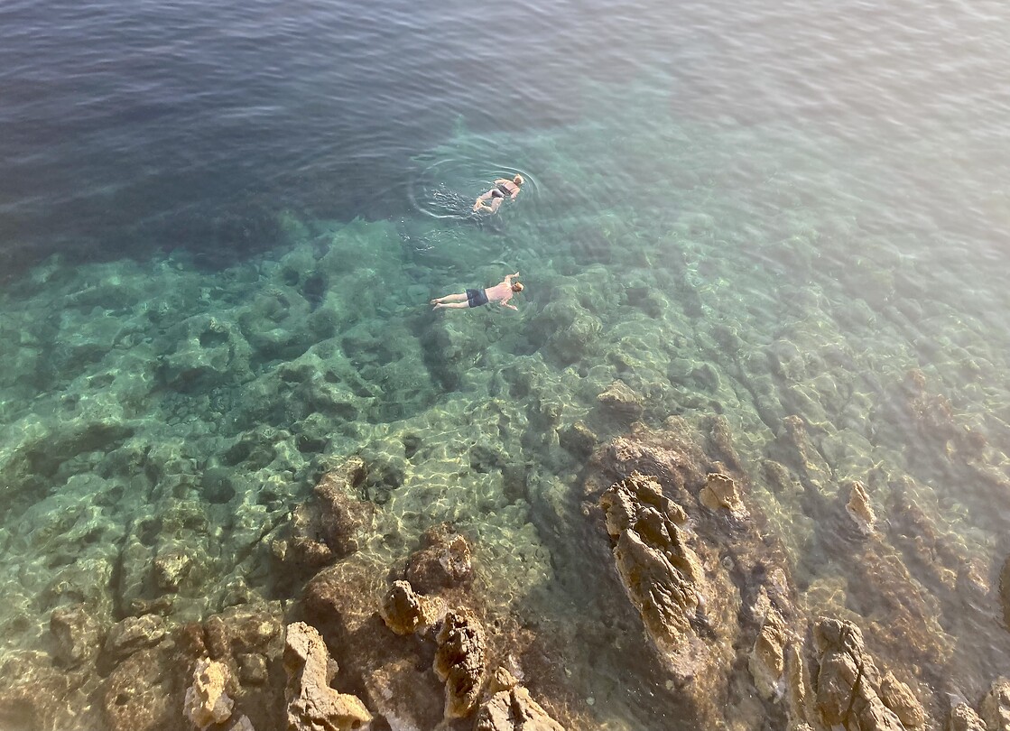 Deze snorkelaars zijn er vroeg bij