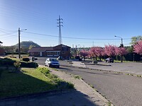 19BB36C3-A279-4672-A2B1-79408D0F2DCF