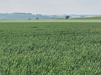 AD361E46-2202-4836-8F00-DDE4670D8BFC