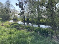F1F98C2F-1F45-40D8-8FFB-56E730565F7B