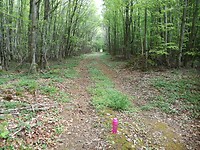 IMG_20220430_120053