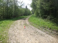 IMG_20220501_115627
